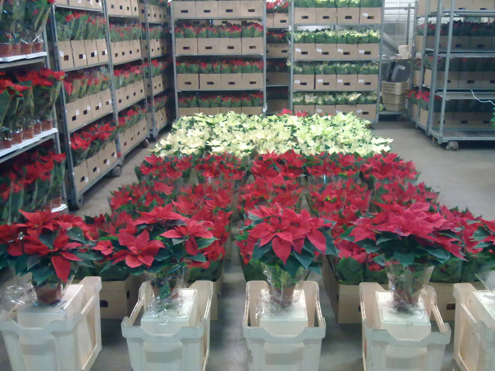 20141208
