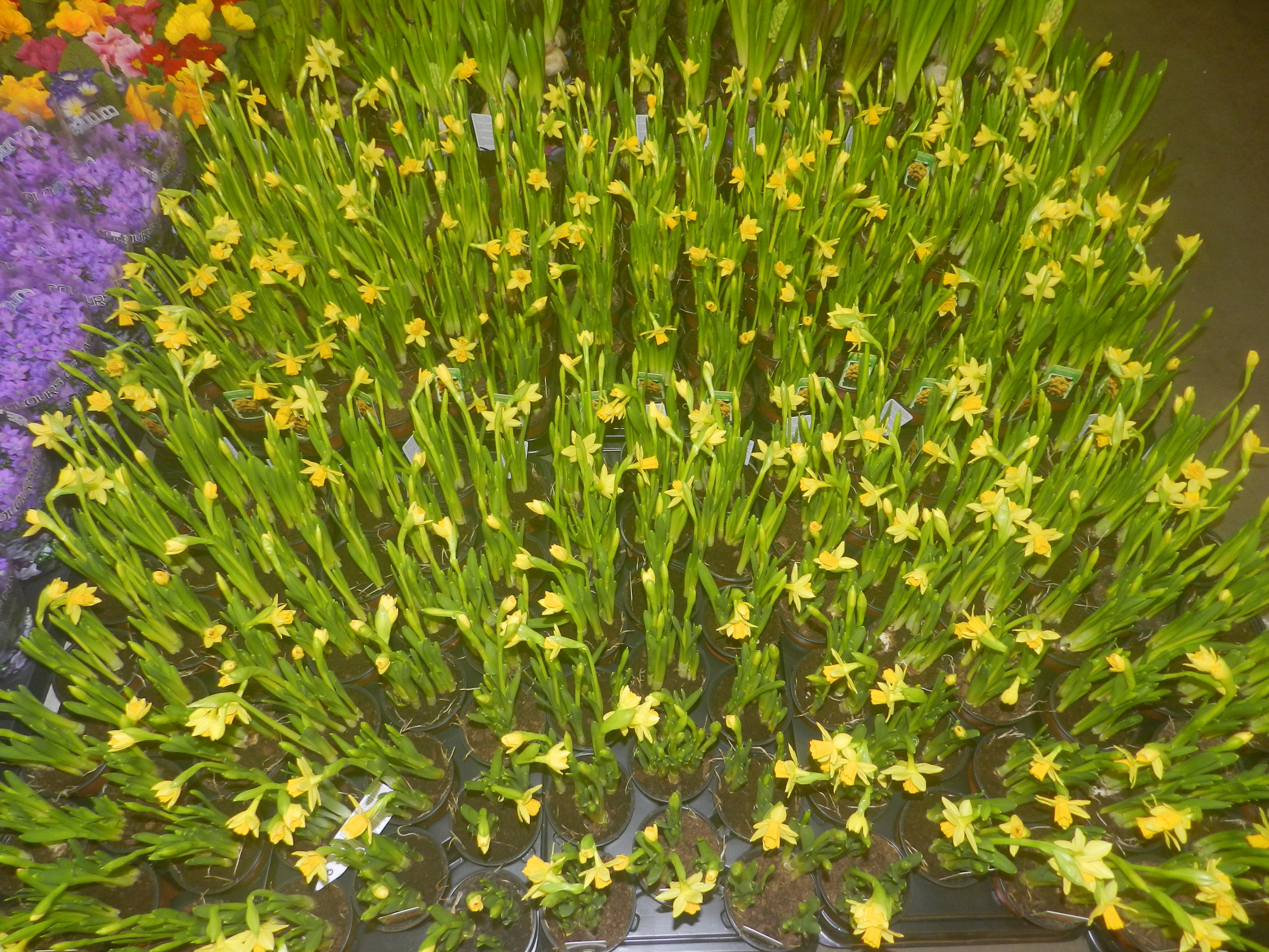 DSCN0332